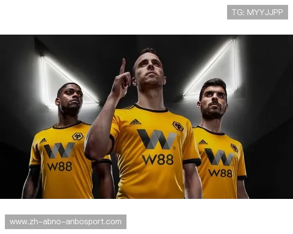 英超球队市值2018：2018年英超各球队的市值和财务状况。